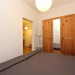 شقة 